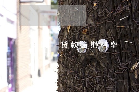 法院 贷款逾期利率 法院 贷款逾期利率